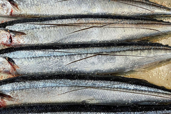 本日の賄いはサンマ！