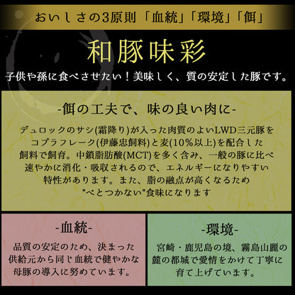 ＼年配の方に喜ばれています／あごだしで食べる SPF和豚味彩しゃぶしゃぶ 4人前 500g（小分けパック2回分）　送料無料