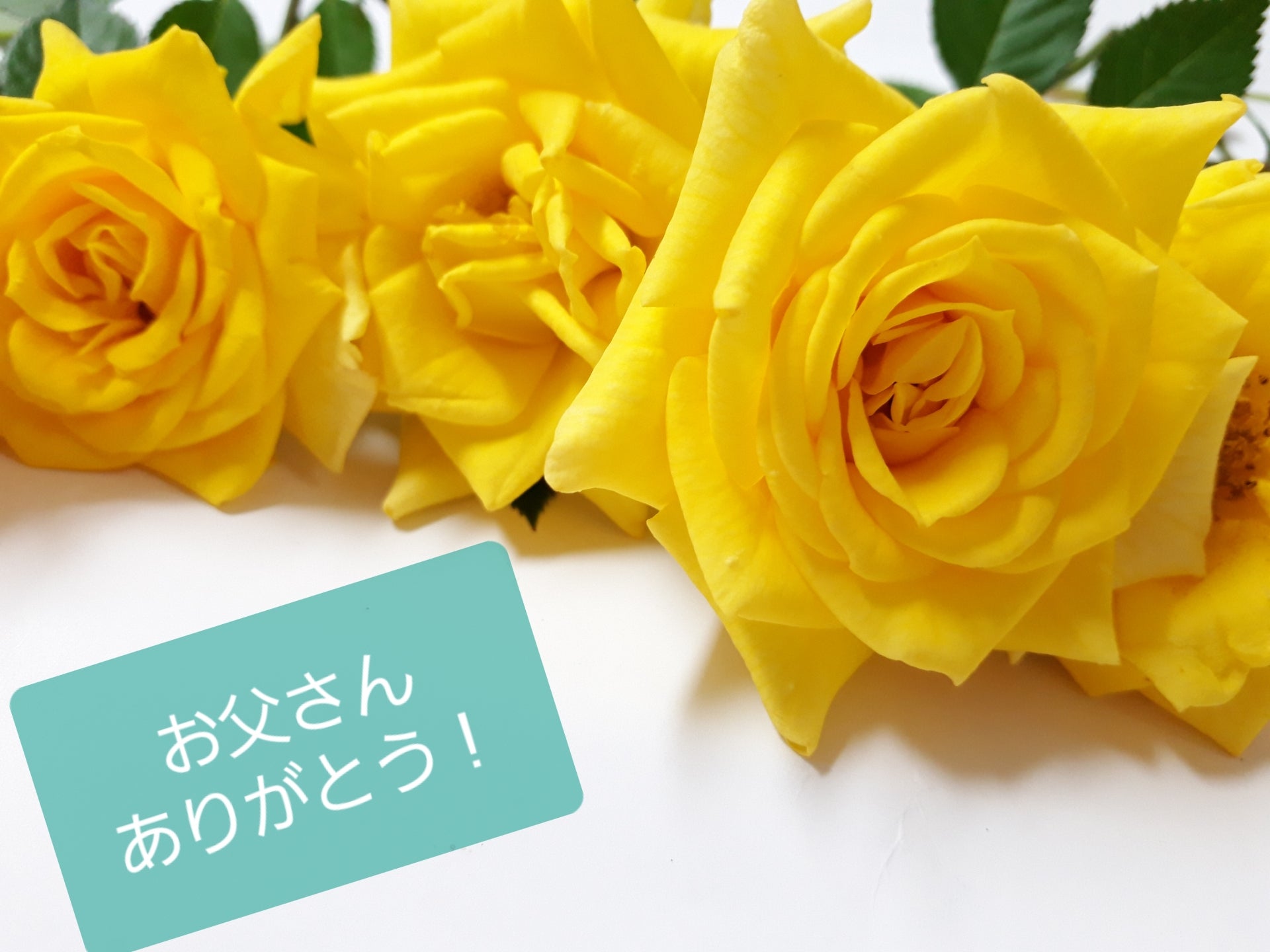 父の日ギフト特集