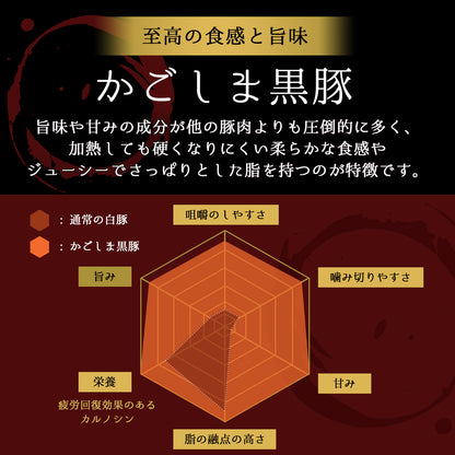 あごだしで食べる かごしま黒豚しゃぶしゃぶ 4人前 500g（ギフト対応）