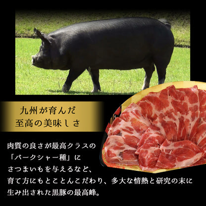 あごだしで食べる かごしま黒豚しゃぶしゃぶ 4人前 500g（しゃぶしゃぶ肉小分けパック250g×2、出汁750g×2）　送料無料