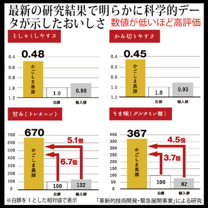 あごだしで食べる【 鹿児島 黒豚 しゃぶしゃぶ ２人前 】 肩ロース 250g 送料無料