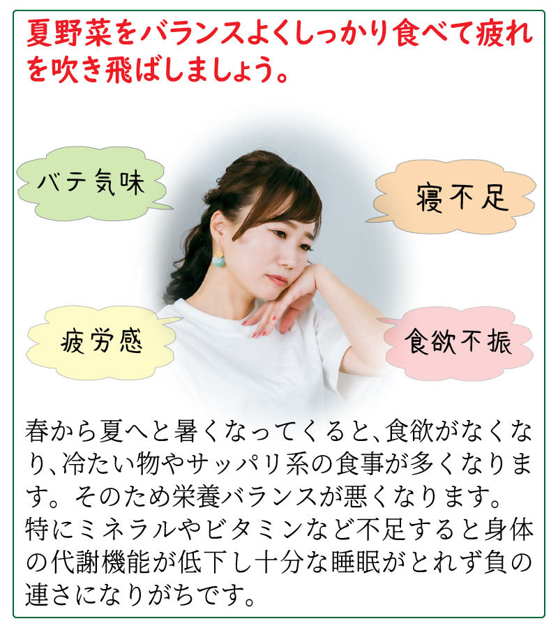 彩り豊かな野菜寄せ