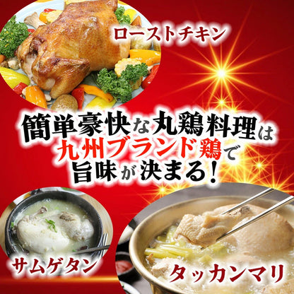 九州ブランド　なでしこ姫鶏 中抜き 1羽 約2.2kg【ローストチキン用】